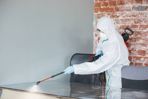 Best Mold Documentation for Insurance Claims  in Smithfield, NC